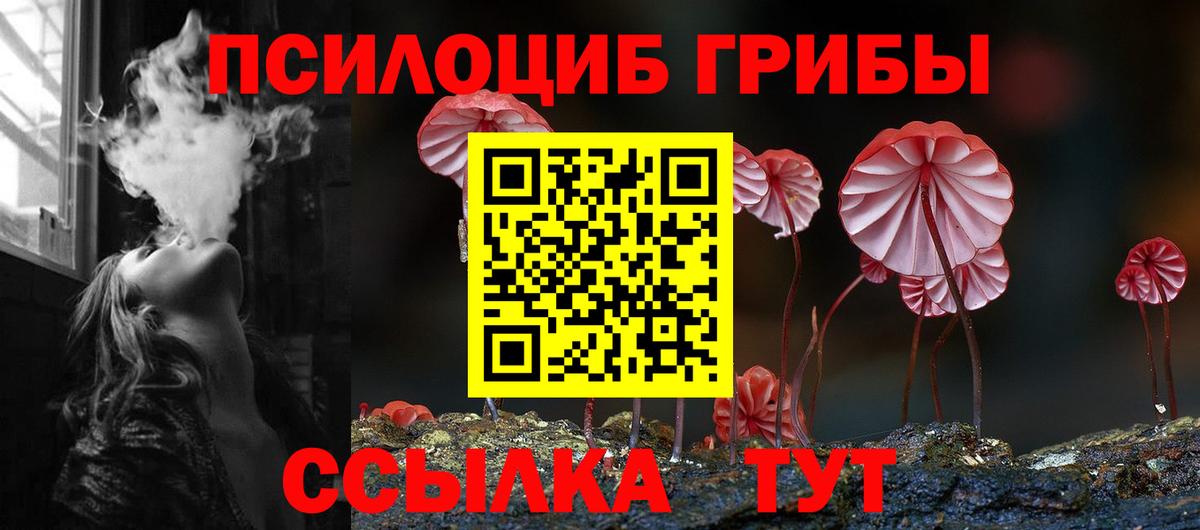 Псилоцибиновые грибы Cubensis  Вход с VPN  Казань 